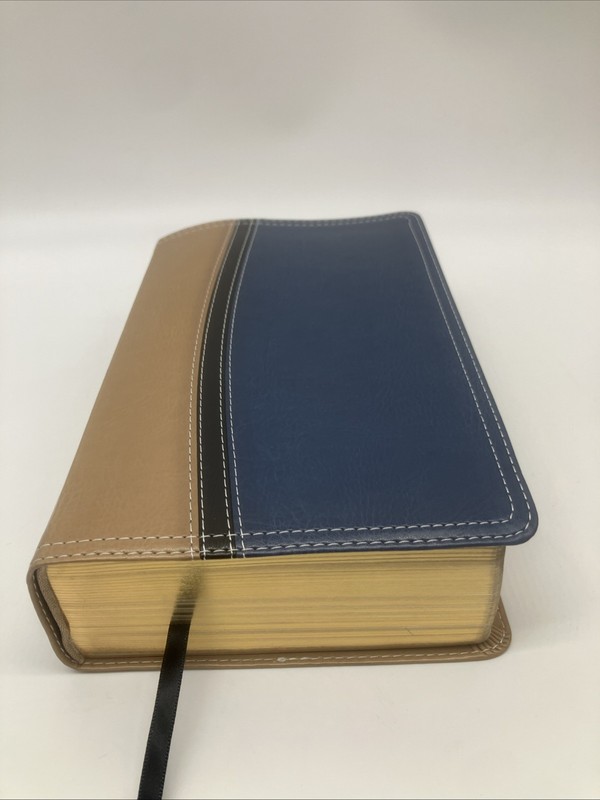 NIV study bible Italian leather duo tone tan blue 2011 edition Zondervan gallery