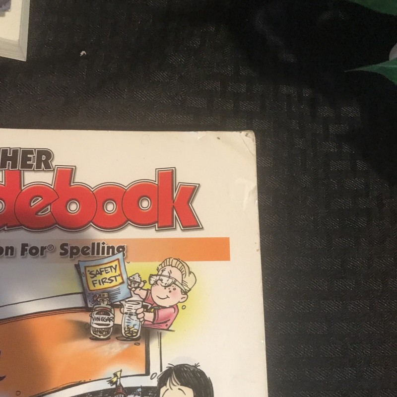 A Reason for Spelling Level F Teacher Guidebook by The Concerned Group curriculT gallery