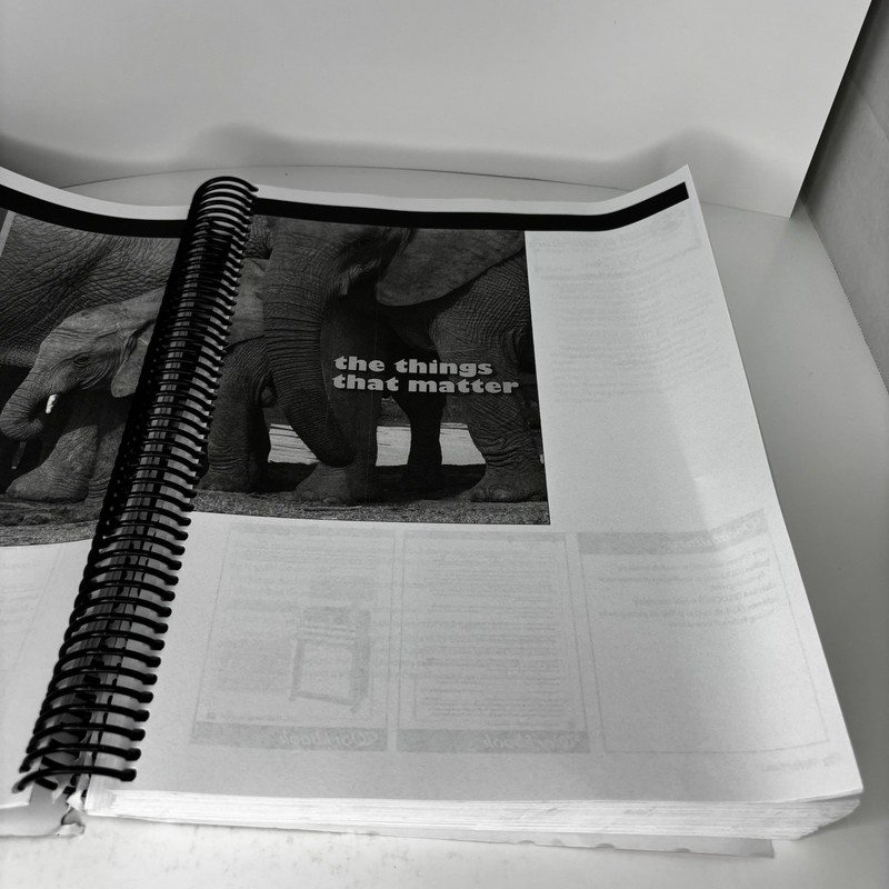 Mosdos Press Literature: Ruby, Teacher’s Edition Part One- Good gallery