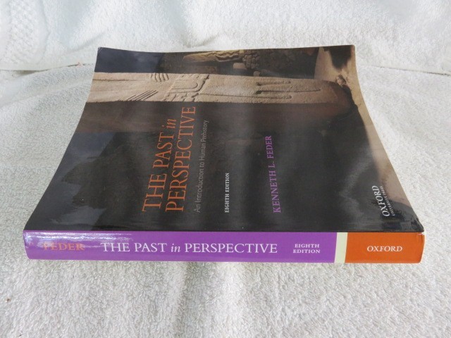 The Past in Perspective: An Introduction to Human Prehistory 8th Edition PB gallery