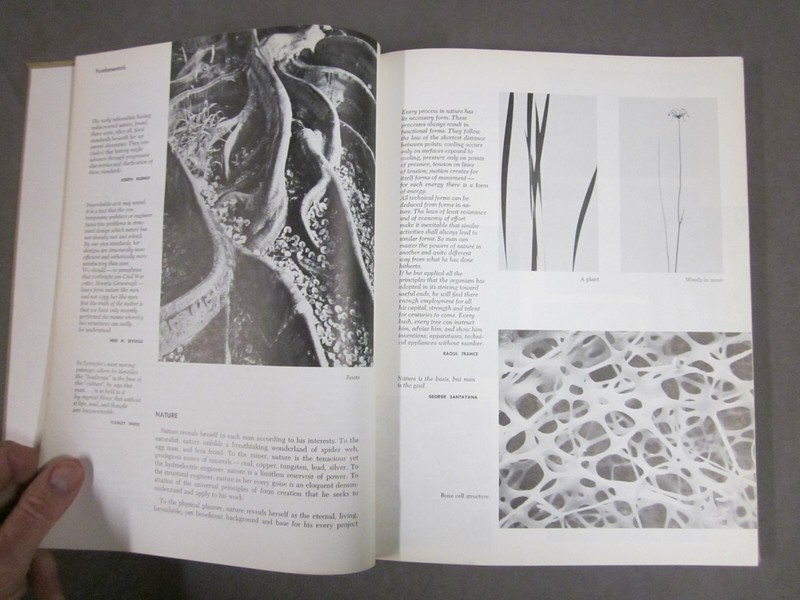Business Industry Landscape Architecture Shape the Natural World 1961 gallery