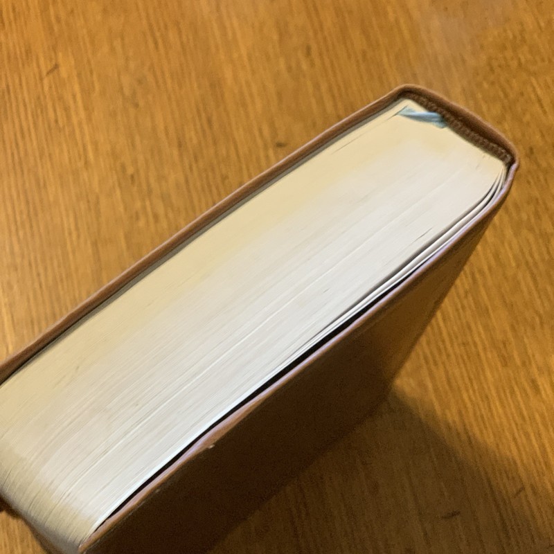 Restoration Study Bible Leather Cover 2011 Yahweh gallery