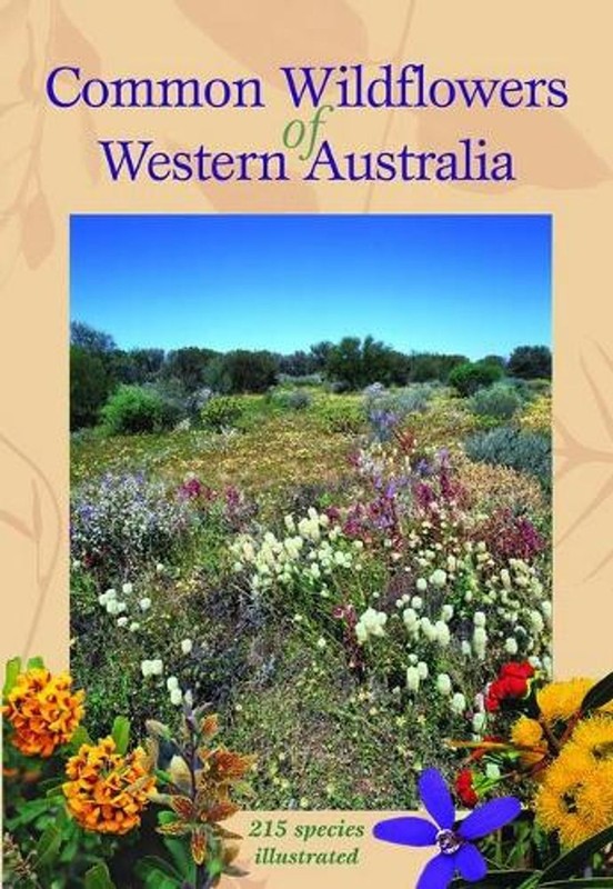 Common Wildflowers of Western Australia: 215 Species Illustrated by Simon Nevill