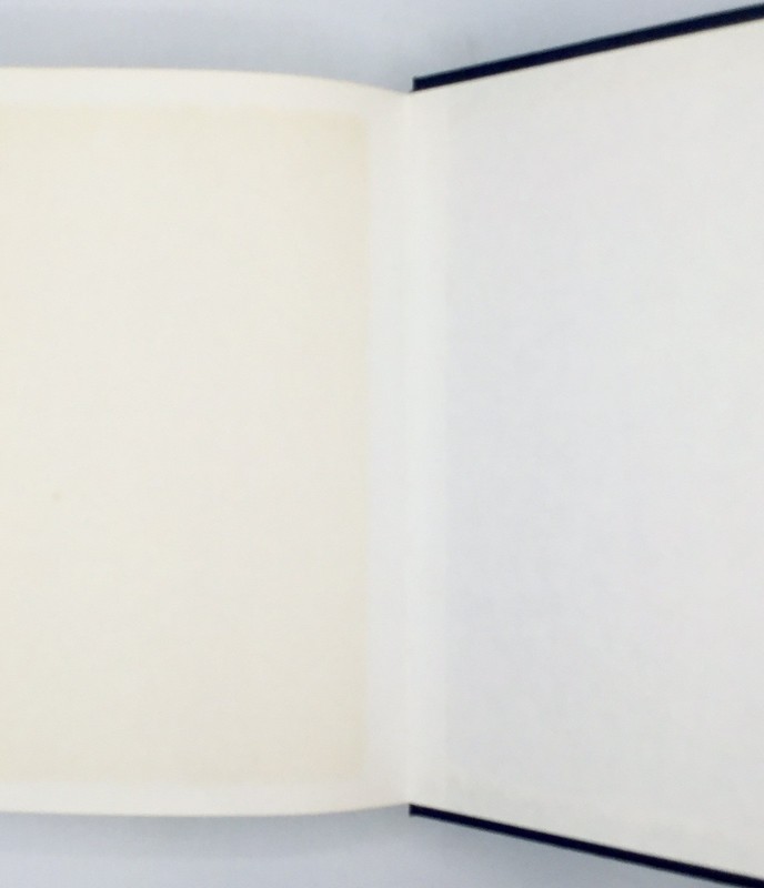 1st Ed 💥Clinical Chiropractic:The Management of Pain and Disability/RC Schafer gallery