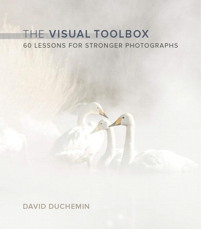 Visual Toolbox, The: 60 Lessons for Stronger Photographs (Voices That Matter…