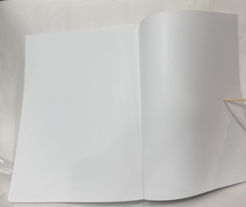 APOLOGIA~ Exploring Creation with PHYSICAL SCIENCE 3rd Edition Dincher 2020 NEW gallery