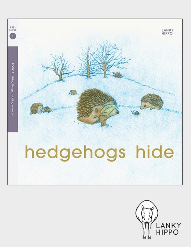 Hedgehogs Hide by Kathy Ferrier (English) Hardcover Book