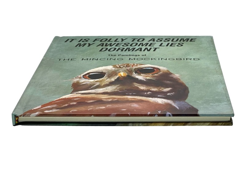 Mincing Mockingbird Vol 1 SIGNED Matt Adrian 1ST EDITION OOP Folly to Assume Owl gallery