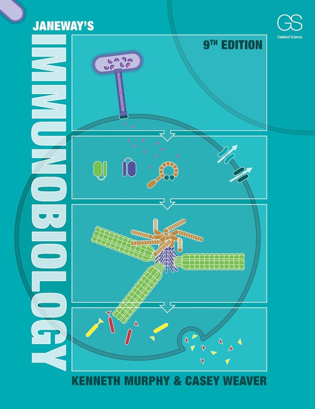 Janeway’s Immunobiology – Murphy, Kenneth|Weaver, Casey – Acceptable – See c…