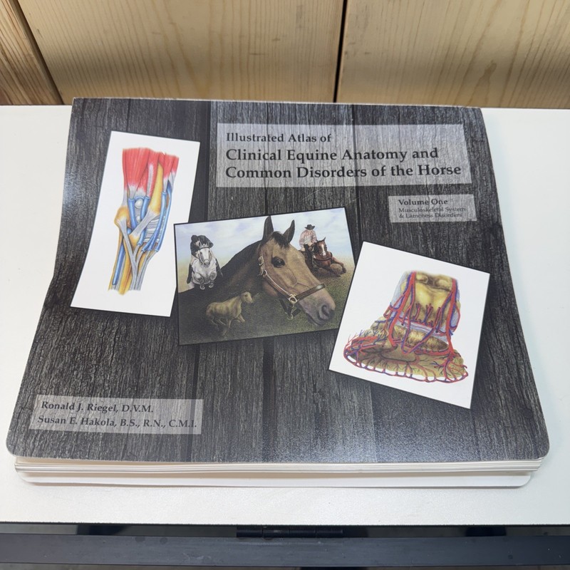 Illustrated Atlas of Clinical Equine Anatomy and Common Disorders Bin BZ