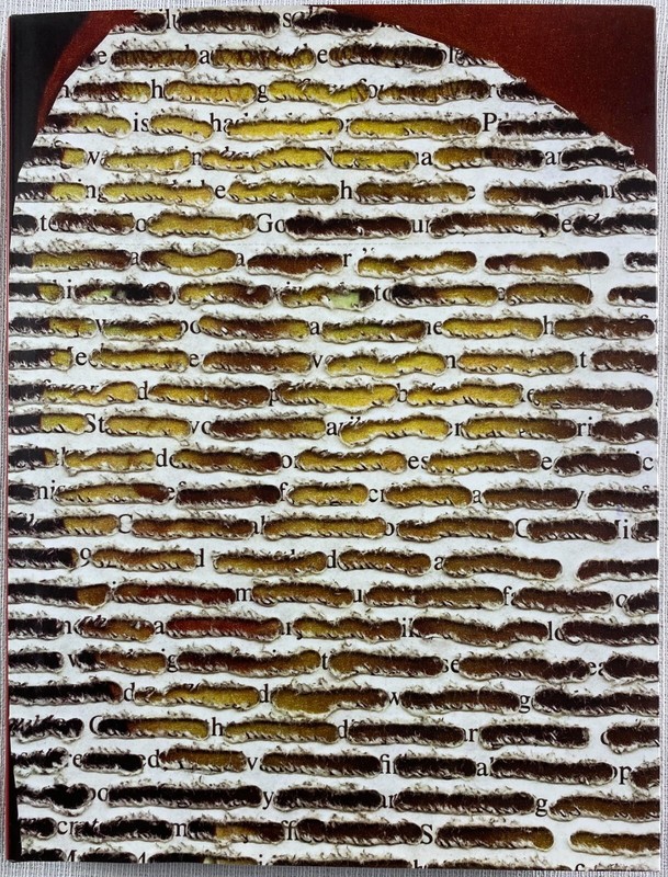 SIGNED Doug Beube: Breaking The Codex, Bookwork Collage and Mixed Media HCDJ