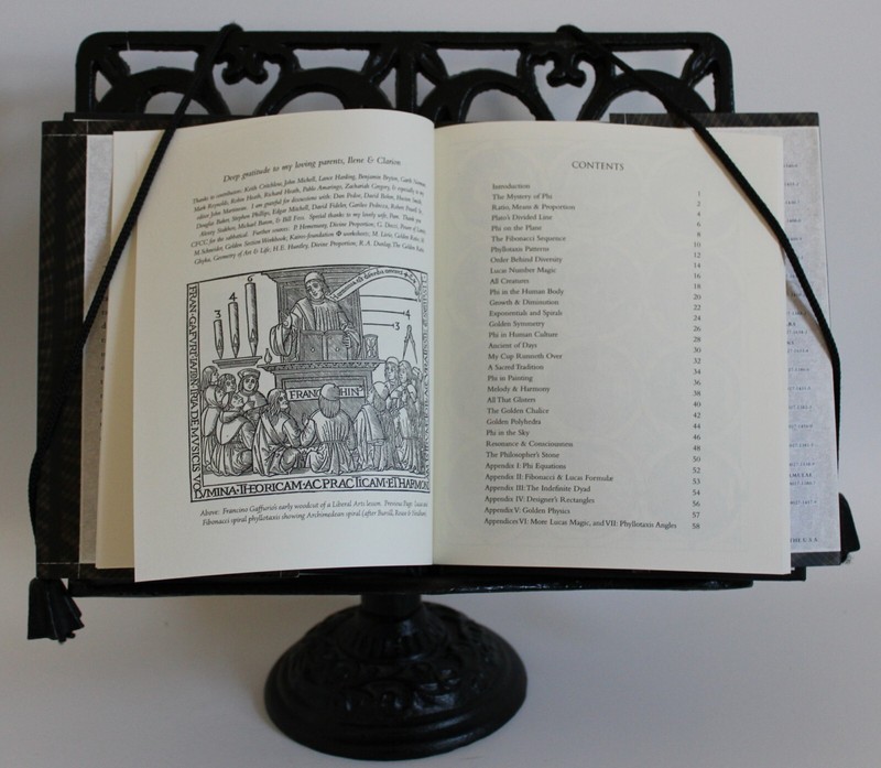 Wooden Bks.: The Golden Section : Nature's Greatest Secret by Scott Olsen (2006, gallery