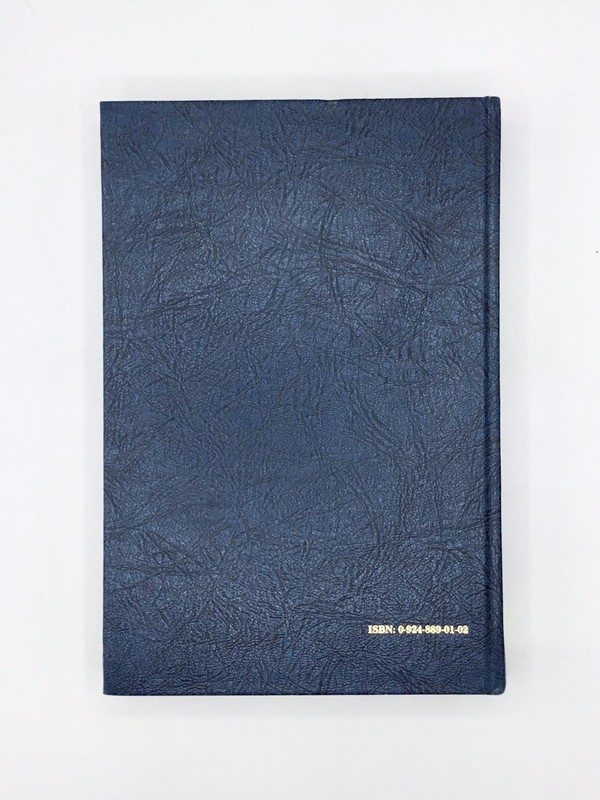 1st Ed 💥Clinical Chiropractic:The Management of Pain and Disability/RC Schafer gallery