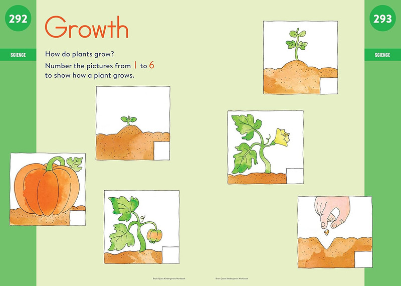 Brain Quest Workbook: Kindergarten Revised Edition gallery