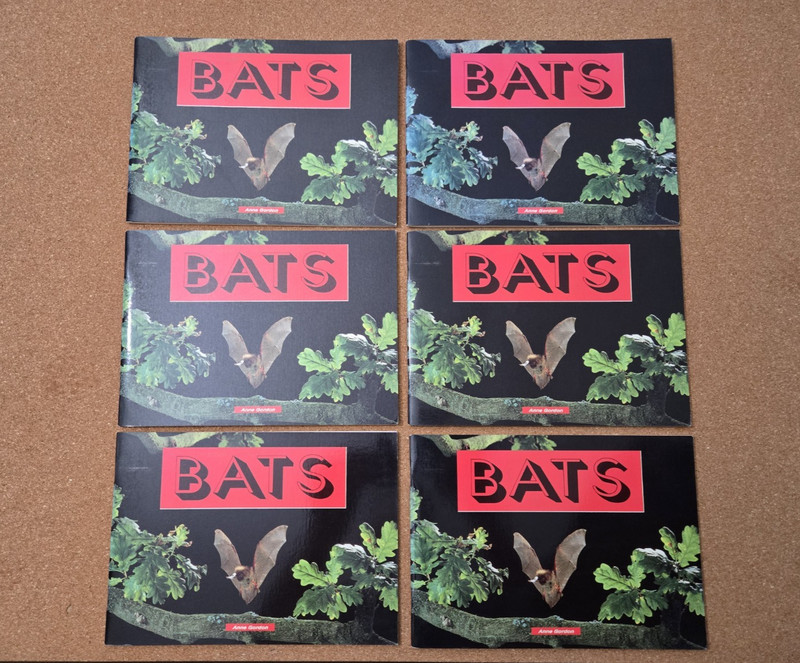 BATS – Lot of 6 books Kids Paperback Book By Anne Gordon Vintage