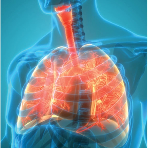 The Brigham Board Review and Comprehensive Update in Pulmonary Medicine 2025