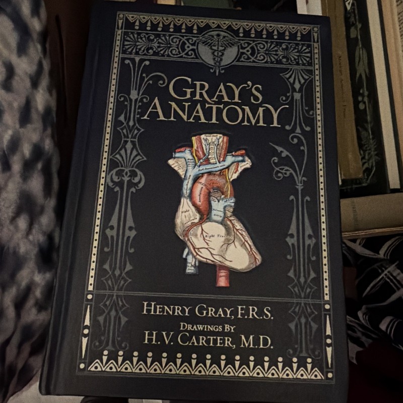 Brand New Grays Anatomy By Henry Gray F.R.S Drawings By H.V Carter , M.D