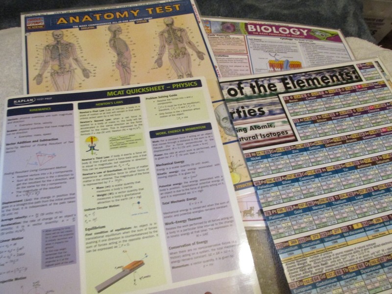 Lot 4 Quick Study Academic Reference Guides SCIENCE Anatomy Biology Physics +