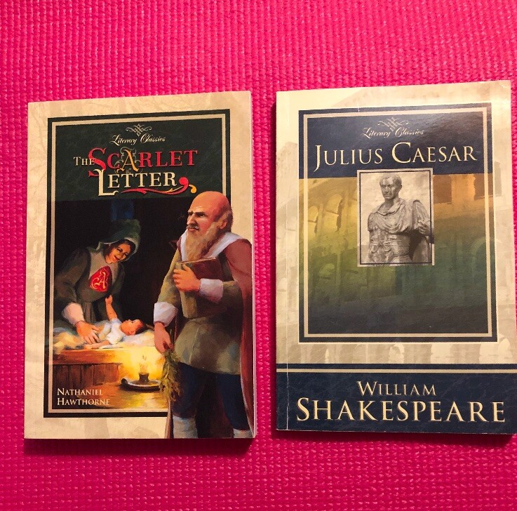 Abeka The Scarlet Letter & Julius Caesar Homeschool Classic Literature Books