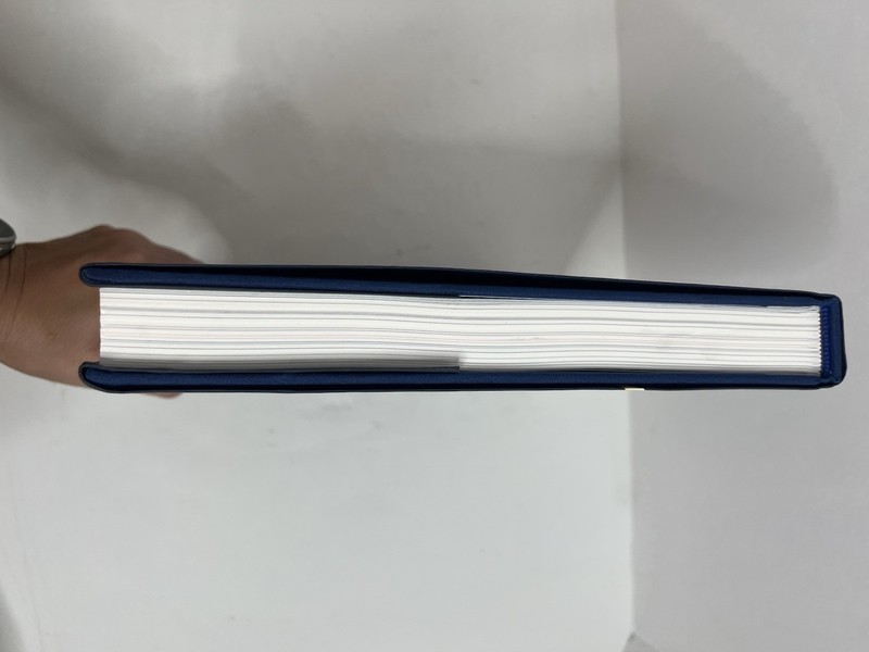 DIVIDED LIGHT - Hardcover + Dust Jacket 1st Print April 2020 Daniel James Alpert gallery