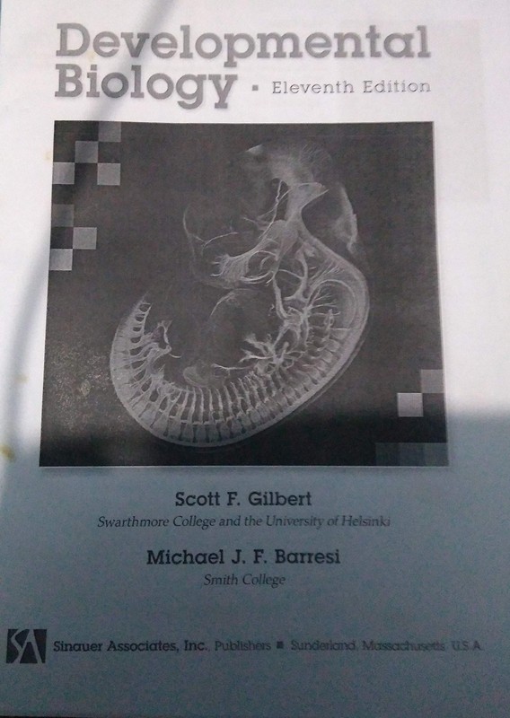 Developmental Biology by Scott F. Gilbert