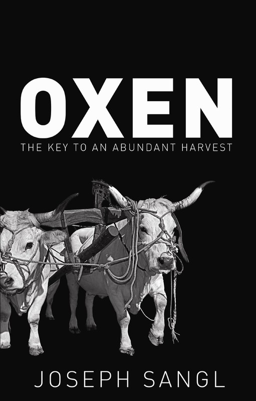 Oxen – Joseph Sangl – Very Good – See condition notes