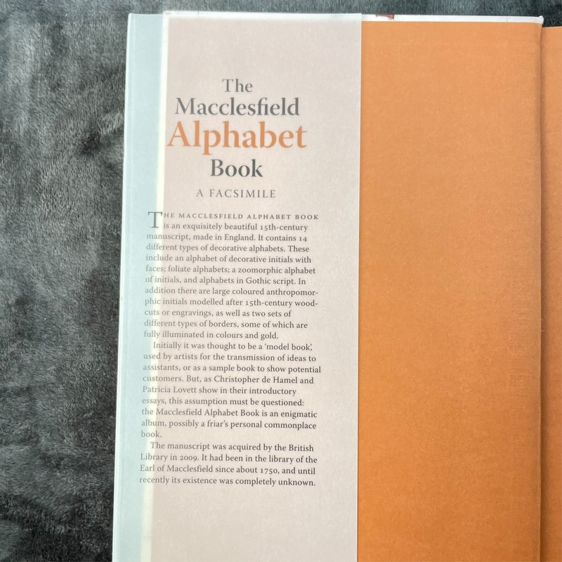 Macclesfield Alphabet A Facsimile by D. E. Hamel 2010 Hardcover EXCELLENT RARE gallery