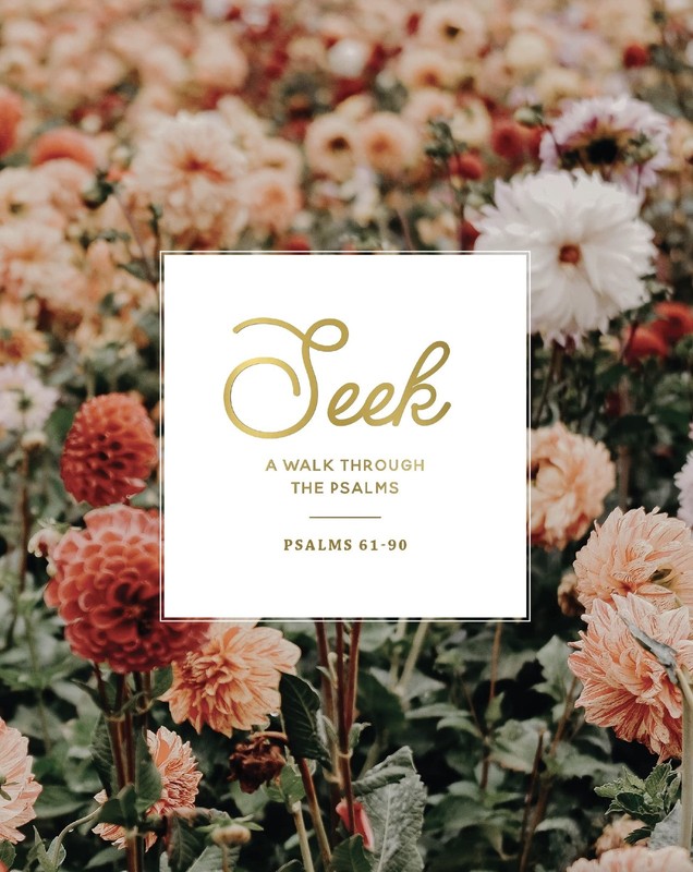 Seek: Psalms 61-90 – paperback The Daily Grace Co.
