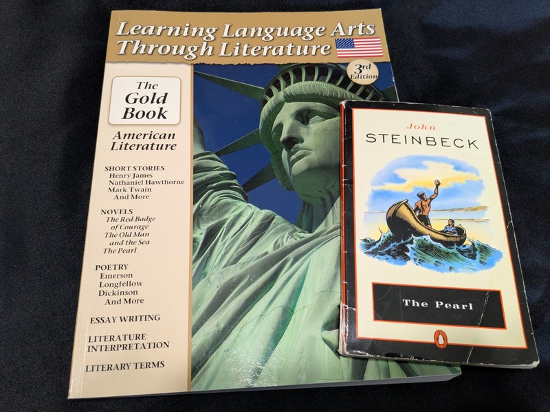 Learning Language Arts Through Literature Gold Book American Lit 3rd Ed LLATL