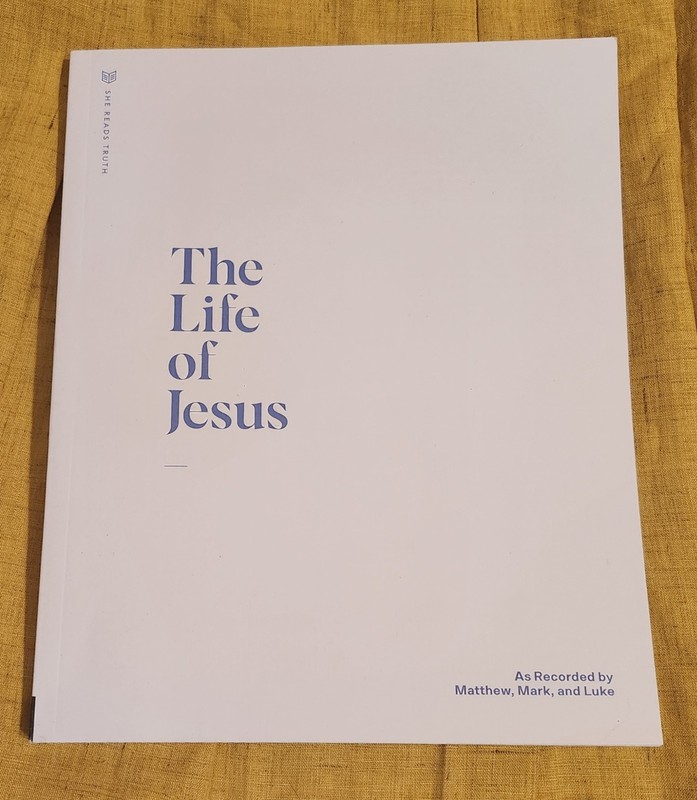 She Reads Truth THE LIFE OF JESUS Workbook Christian Study Guide