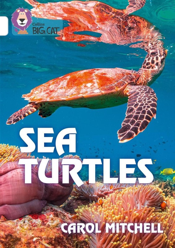 Sea Turtles: Band 10/White by Carol Mitchell Paperback Book