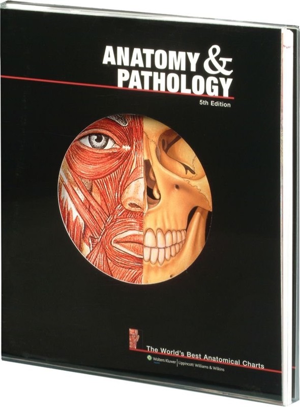 Anatomy & Pathology: The World’s Best Anatomical Charts
