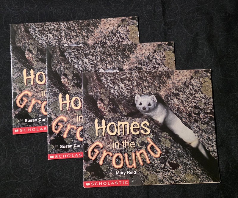 Beginning Children’S HOMES IN THE GROUND Multiple 3 Copies Early Leveled K-2