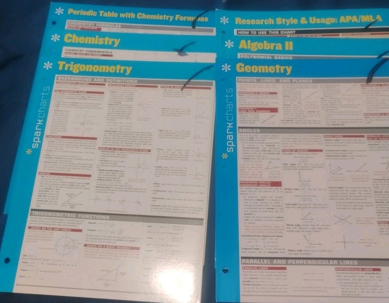 Lot Of 6 Spark Charts Algebra 2, Trig, Chem, Geometry, Apa/Mla, Periodic Table.