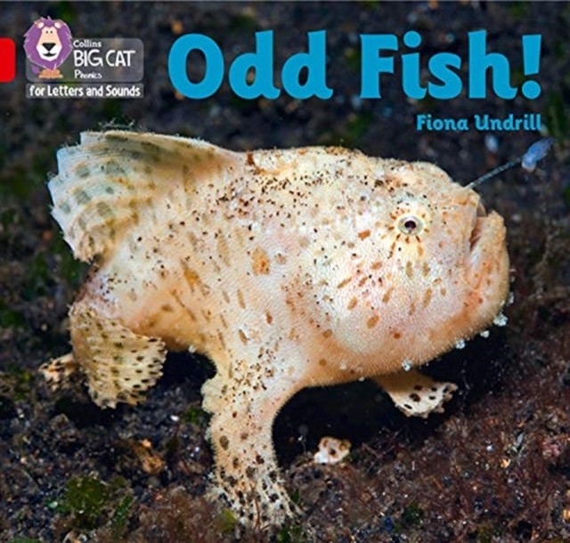 BIG CAT L S ODD FISH by Fiona Undrill Paperback Self Help Business