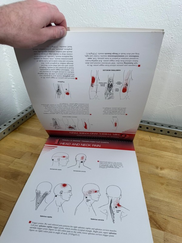 NEW Travell Simons & Simons' Trigger Point Pain Patterns Flip Charts gallery