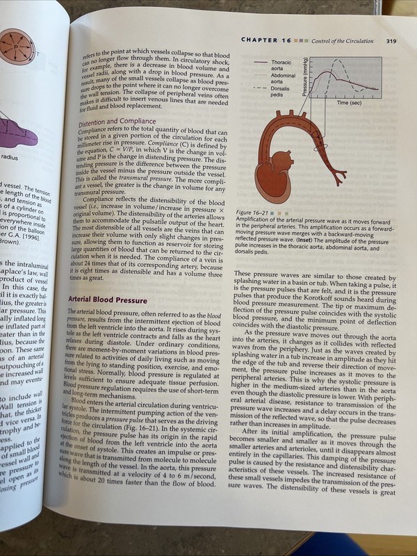 Pathophysiology: Concepts in Altered Health States 5th Edition (No Disk) gallery