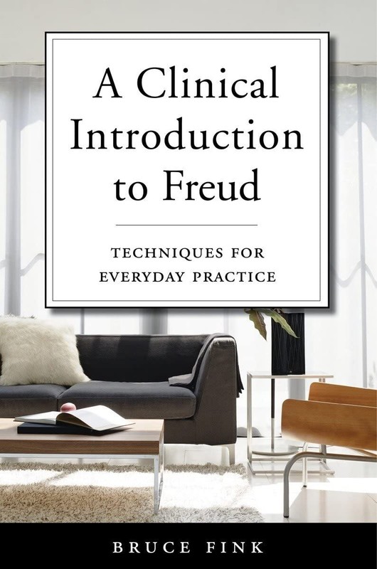 A Clinical Introduction to Freud: Techniques for Everyday Practice by Bruce Fink